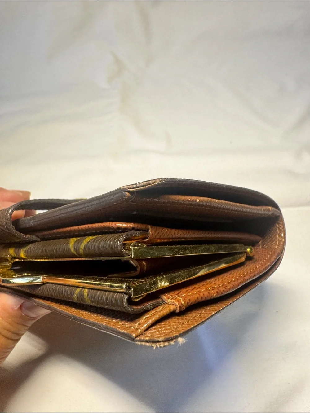 Louis Vuitton iconic louis